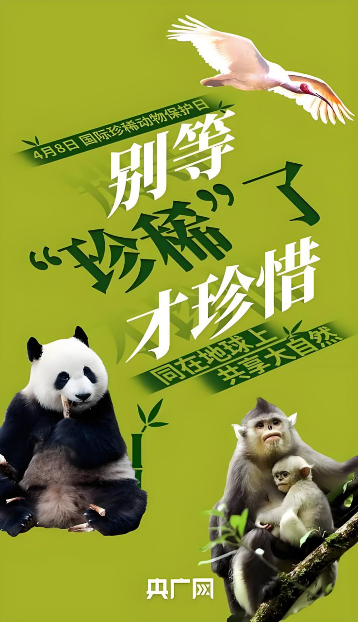 音乐分类